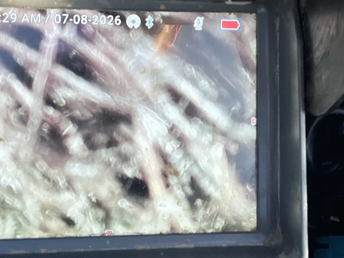 Fine tree roots packed inside the pipe, on the drain camera screen in Penshurst