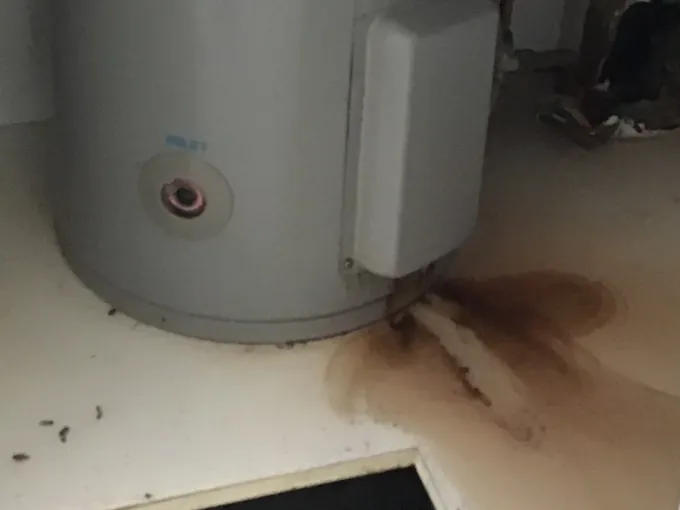 Rust-coloured water stain spreading from the base of an electric hot water tank in a cupboard in Campsie