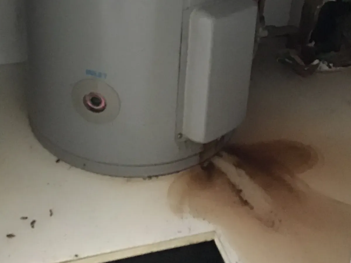 Rust-coloured water stain spreading from the base of an electric hot water tank in a cupboard in Campsie