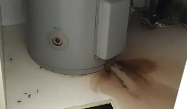 Rust-coloured water stain spreading from the base of an electric hot water tank in a cupboard in Campsie