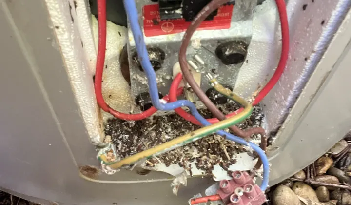 Thermostat and wiring exposed behind the access cover of an electric hot water tank