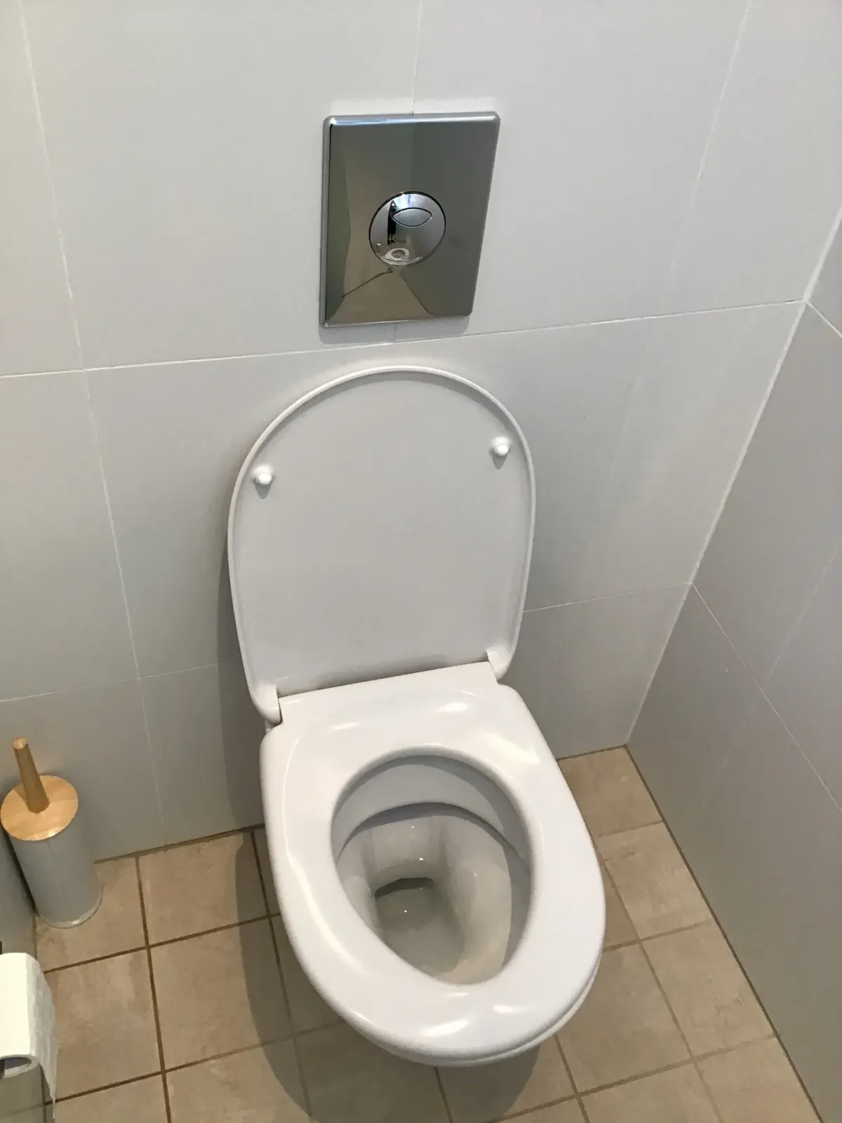 Wall-hung toilet with a chrome flush plate for an in-wall cistern in Cammeray