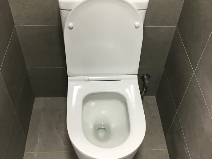Toilet suite with dual flush buttons refitted in a tiled bathroom