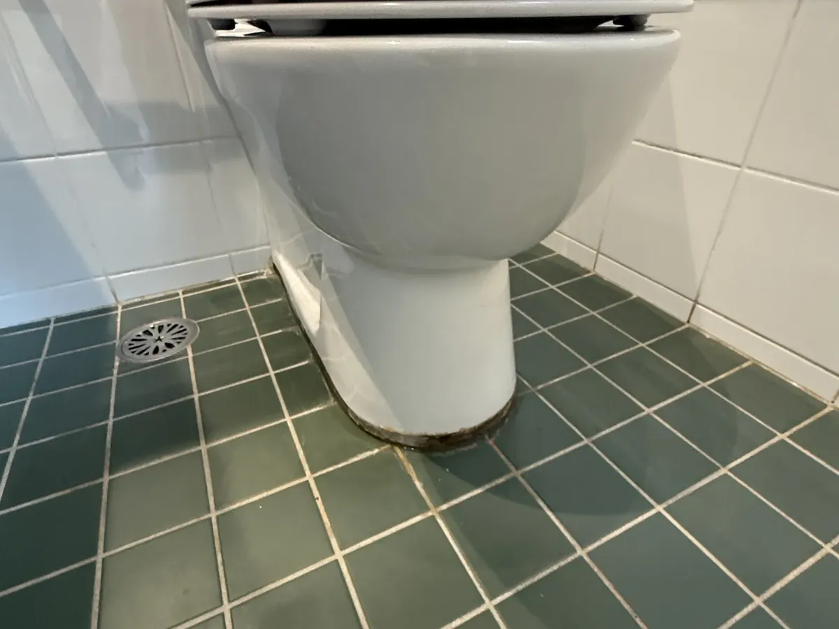 Staining around the base of a toilet on a tiled floor in Glebe