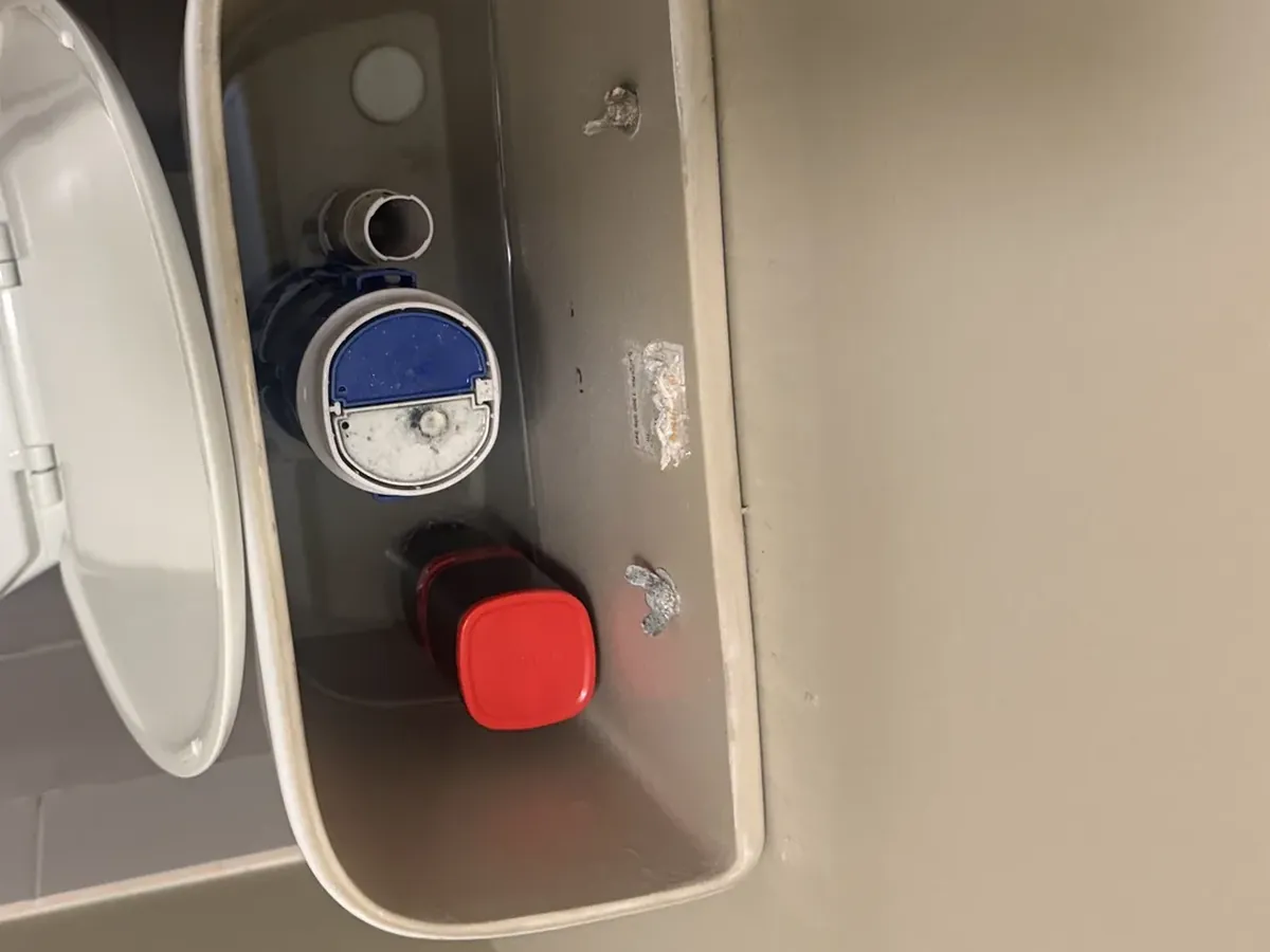 Cistern lid off showing the flush valve and the inlet valve in Elderslie