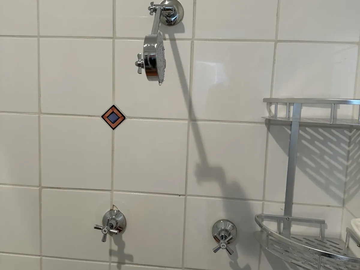 Shower rose and taps on a tiled wall in a Lane Cove North bathroom