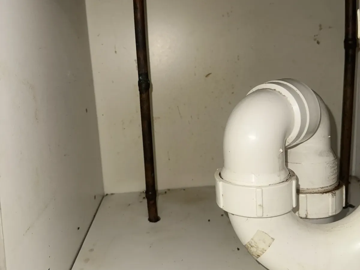 Waste trap under a stainless sink in Greystanes