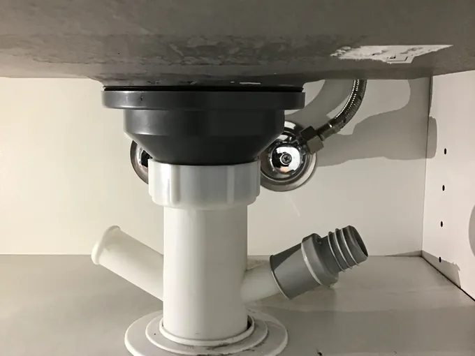 Sink waste with a branch fitting for an appliance hose under a laundry sink