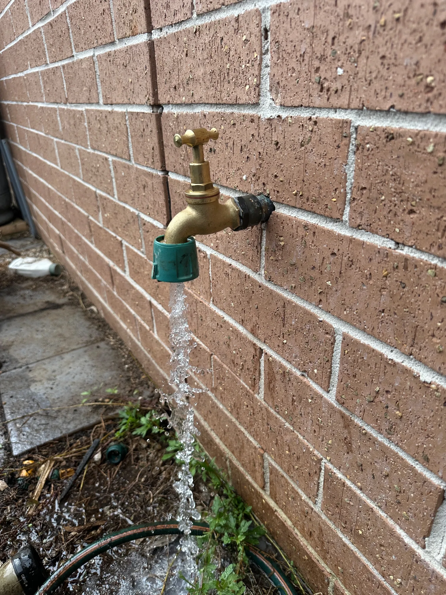 New brass garden tap running after replacement on a Mr Splash job in Macquarie Fields
