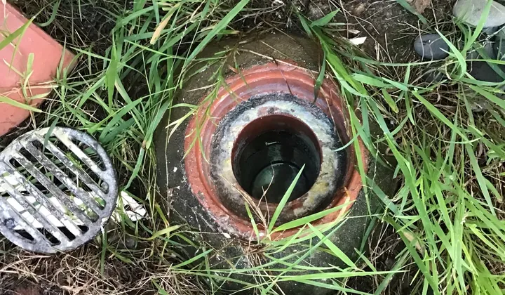 Gully in the grass with its grate lifted and grease caked around the inside in South Penrith