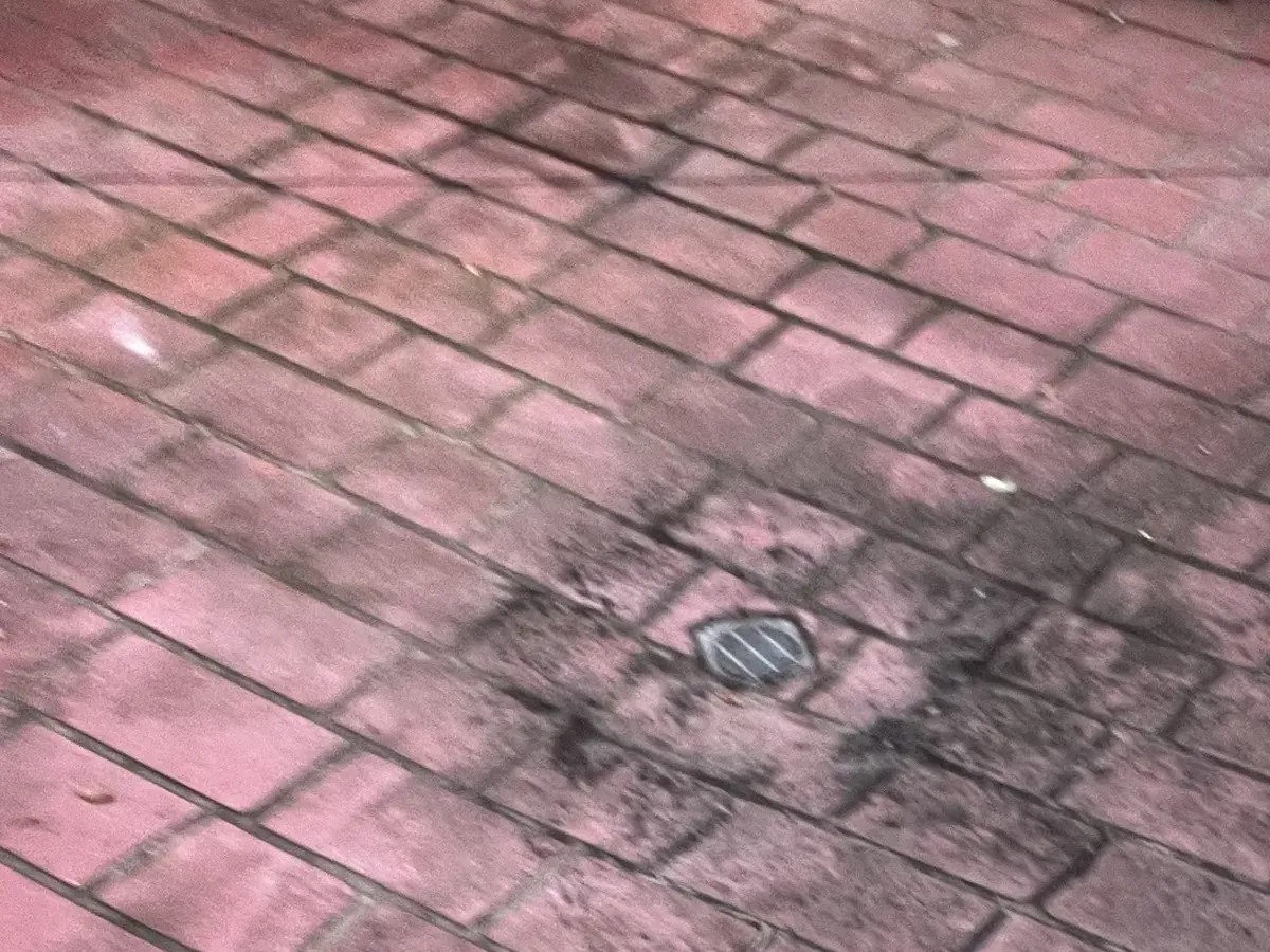 Wet brick paving stained around a small yard drain grate in Glenwood
