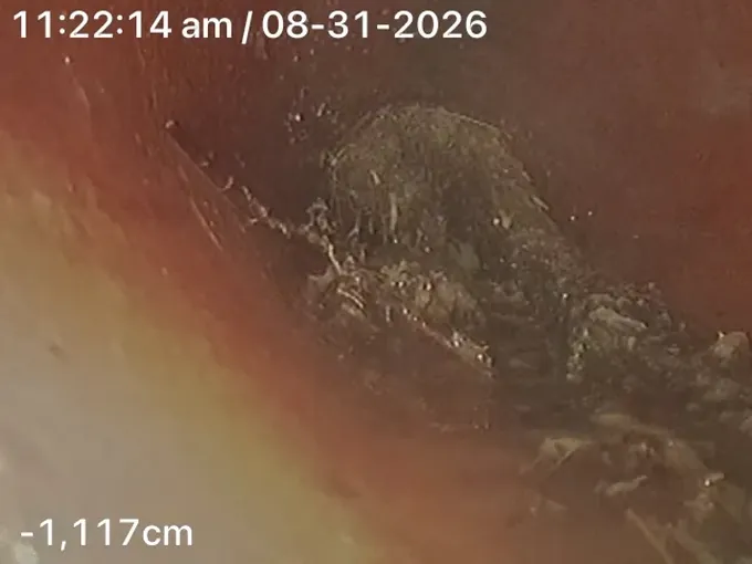 Drain camera view of roots at a pipe joint in Forestville