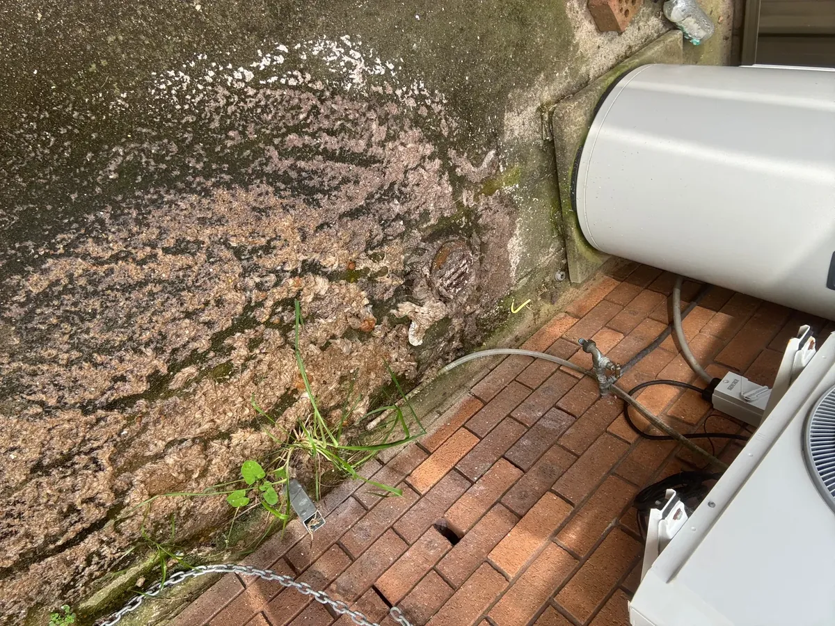 Sewage overflow around an outdoor drain beside a hot water system