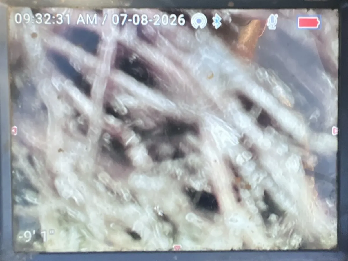 Tree roots filling a sewer pipe on the drain camera screen in Penshurst