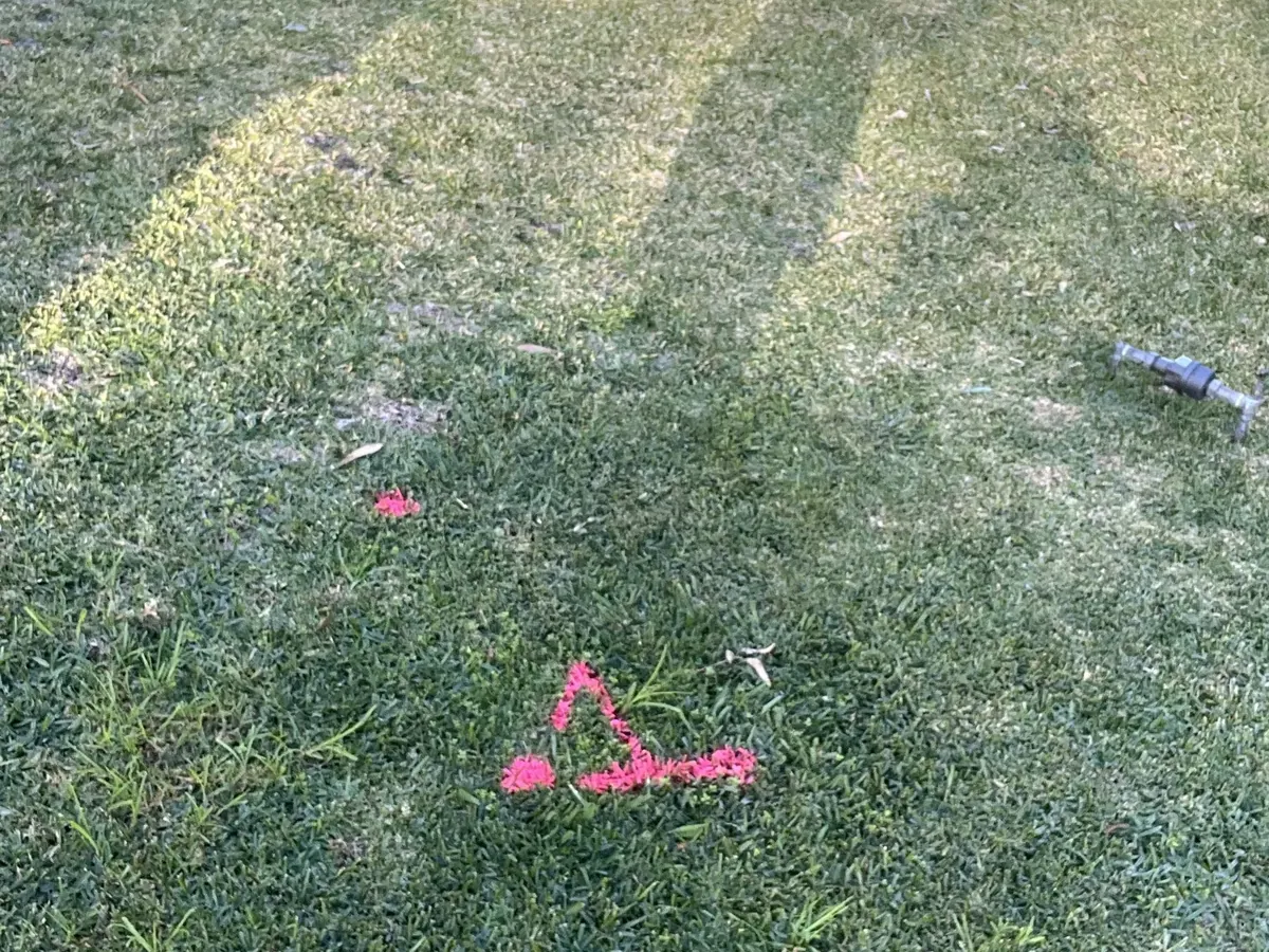 Pink paint marks on a front lawn showing where a sewer line runs