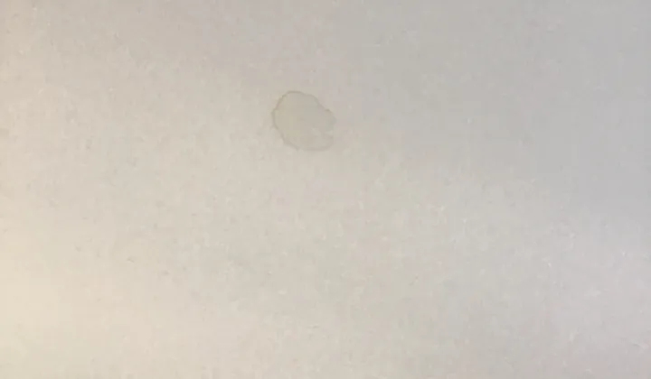 Round water stain on the ceiling of a room under the upstairs bathroom in Pendle Hill