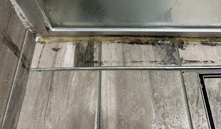 Mouldy silicone along the base of a shower screen beside a strip drain in Blacktown