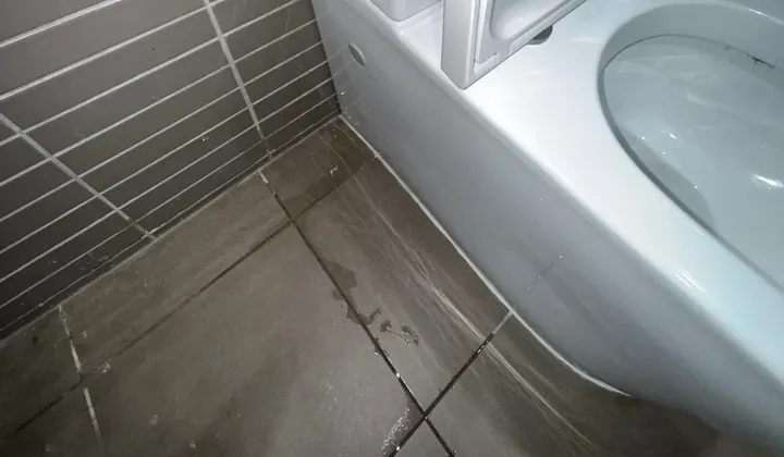 Water pooled on the floor tiles around the base of a toilet in Kingsgrove