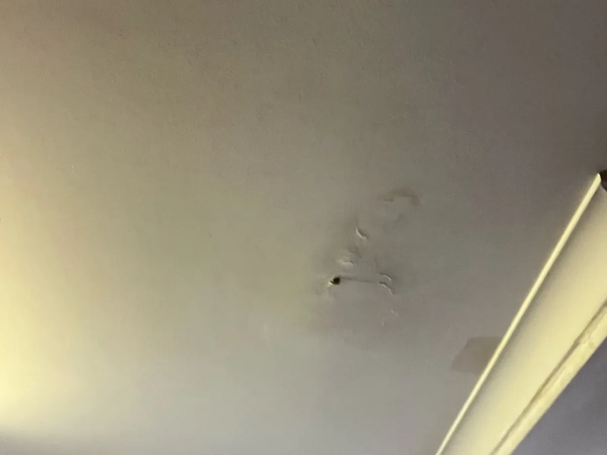 Bubbled paint and a small hole in the ceiling of a room below a bathroom in Seven Hills