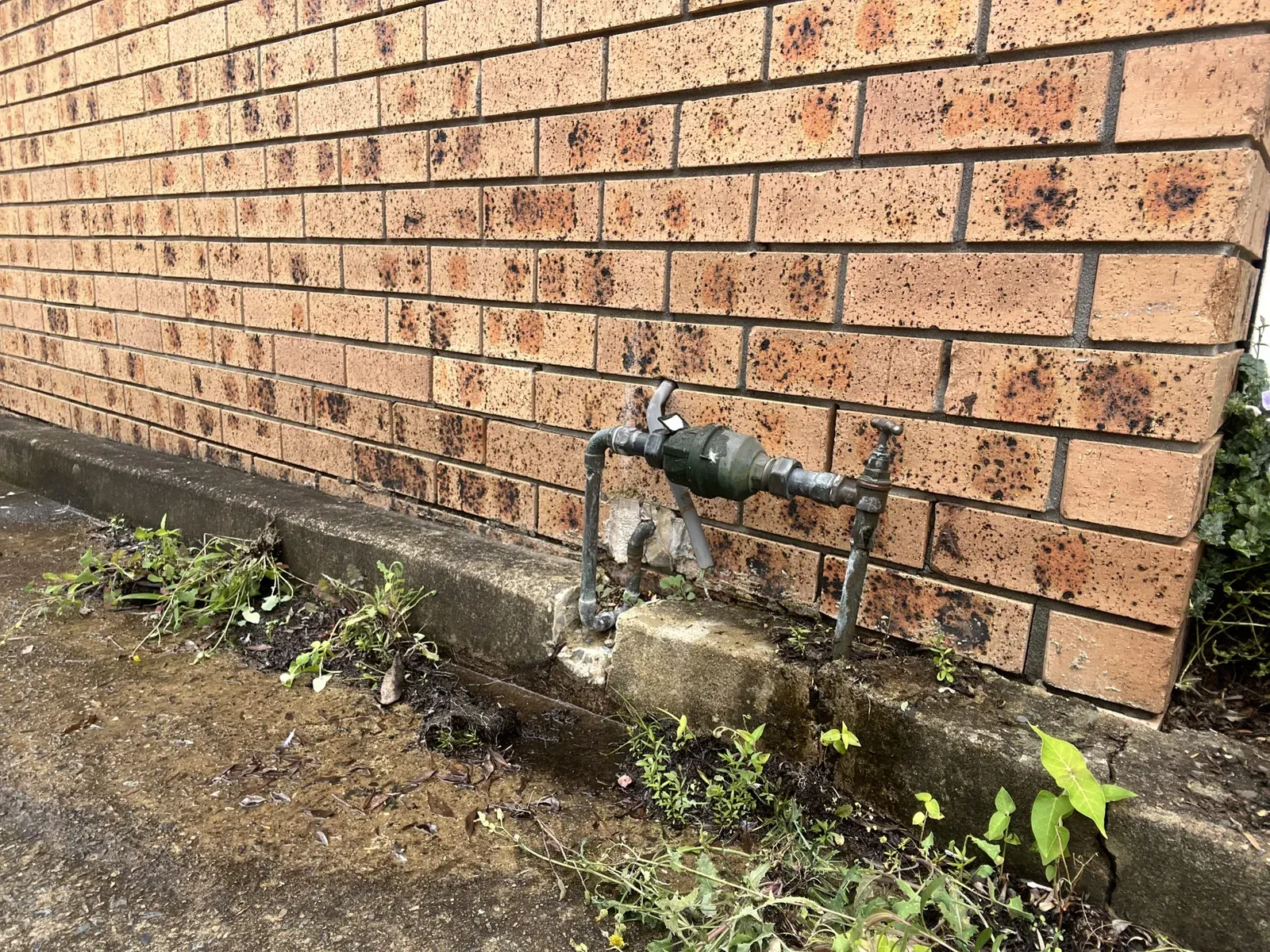 Water meter and pipework with a garden tap on a brick wall in Macquarie Fields