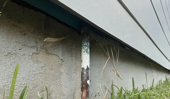 Corroded copper water pipe rising out of the grass under the cladding of a house in Roselands