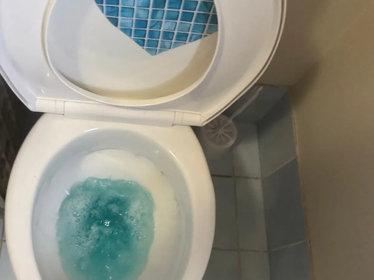 Blue water swirling in a toilet bowl as it is flushed in a Lidcombe bathroom