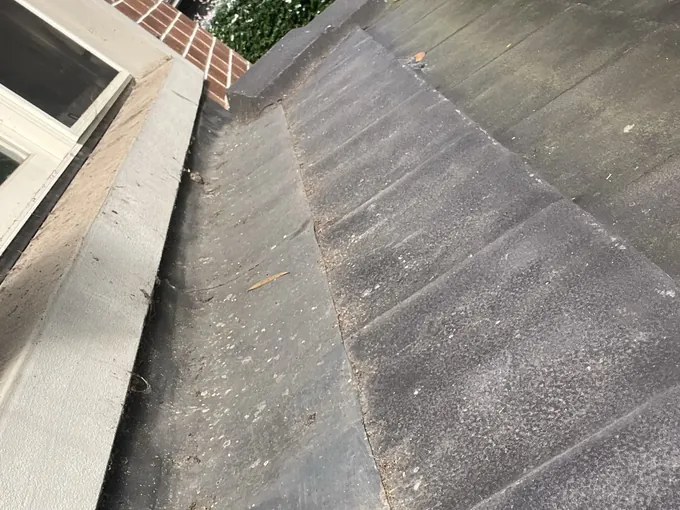 Leaves in the gutter channel between a tiled roof and a rendered wall in Wahroonga