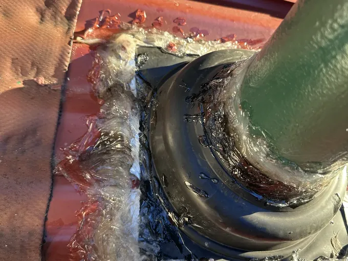Fresh sealant around a rubber flashing boot where a pipe comes through a metal roof in Greenacre