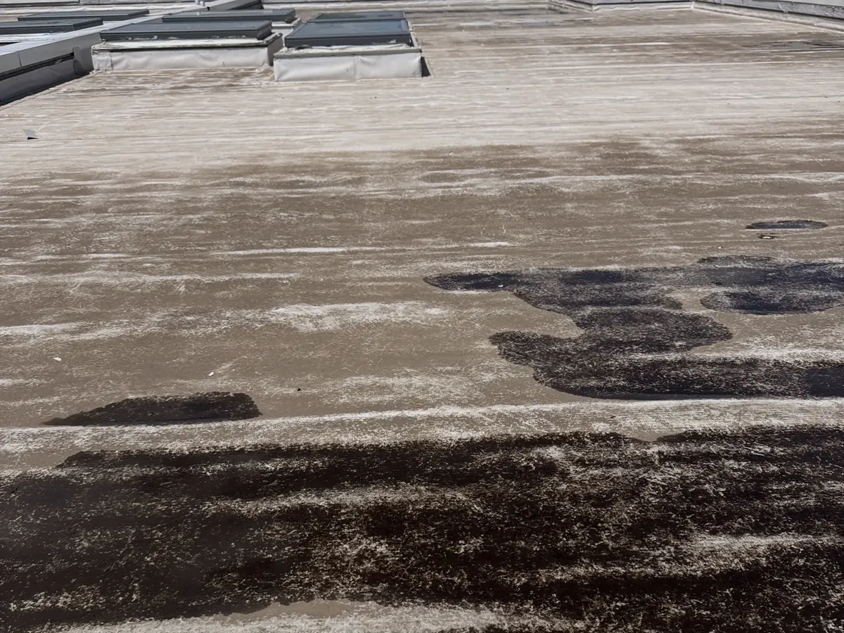 Wet patches across a flat roof with skylights, checked for a leak in Northmead