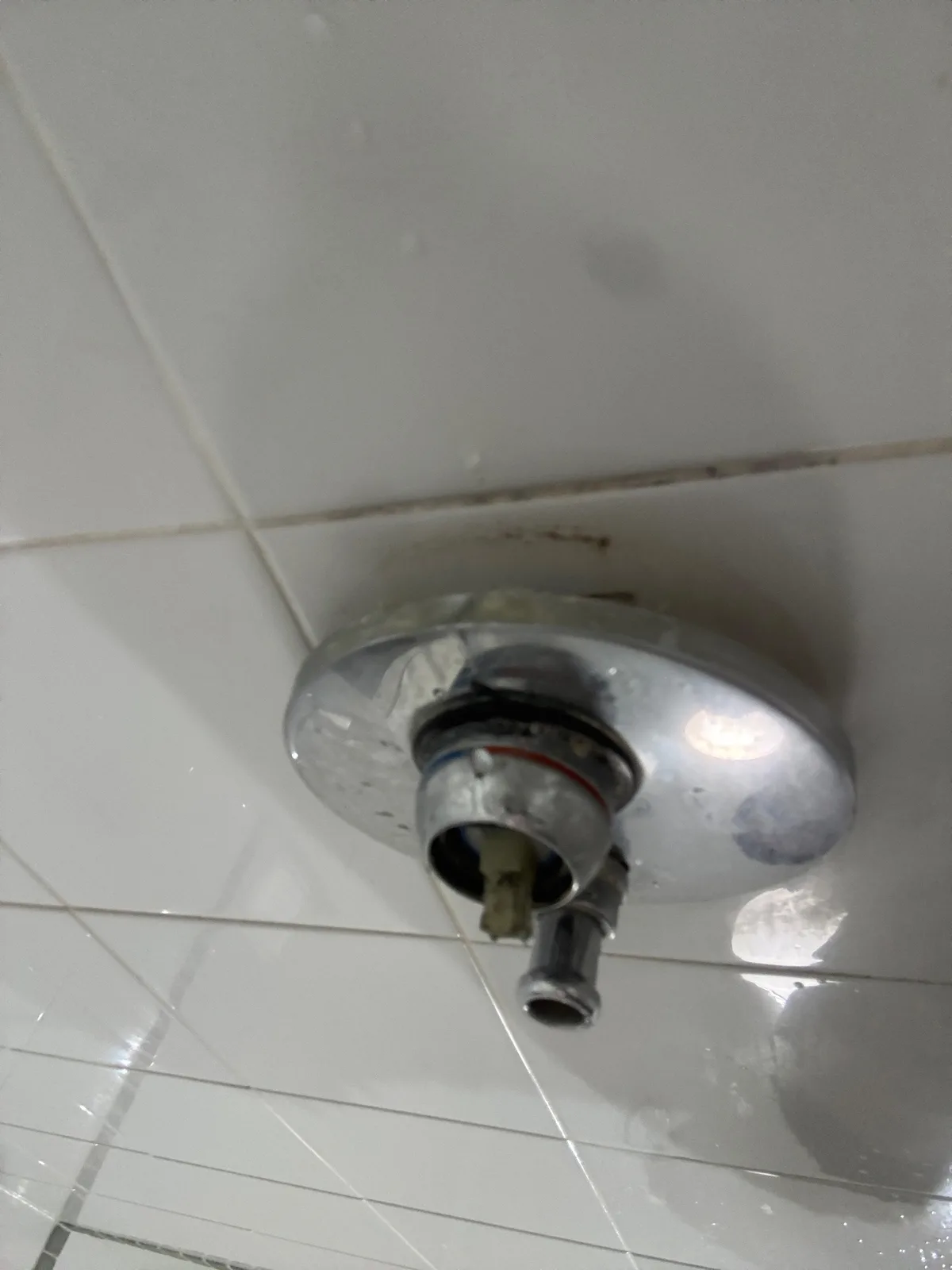 Corroded shower arm removed from the ceiling on a Mr Splash emergency leak job in Rushcutters Bay