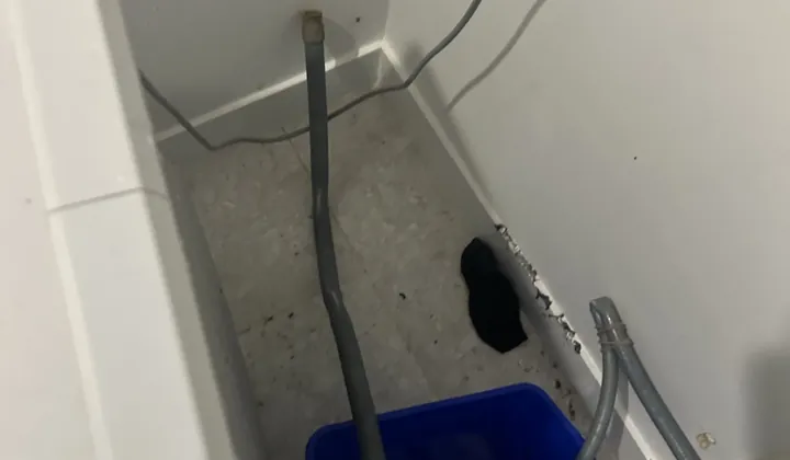 Washing machine hoses in the cavity behind a machine with a bucket catching water