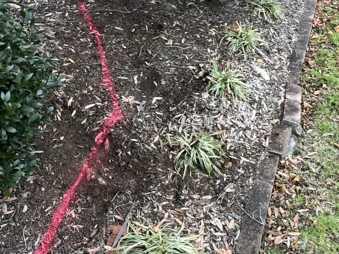 Line of an underground water pipe marked in pink paint across a garden bed