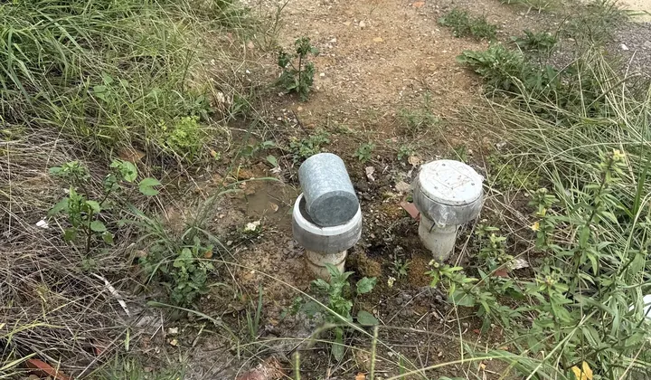 Two drain inspection risers in muddy, weedy ground in Lidcombe