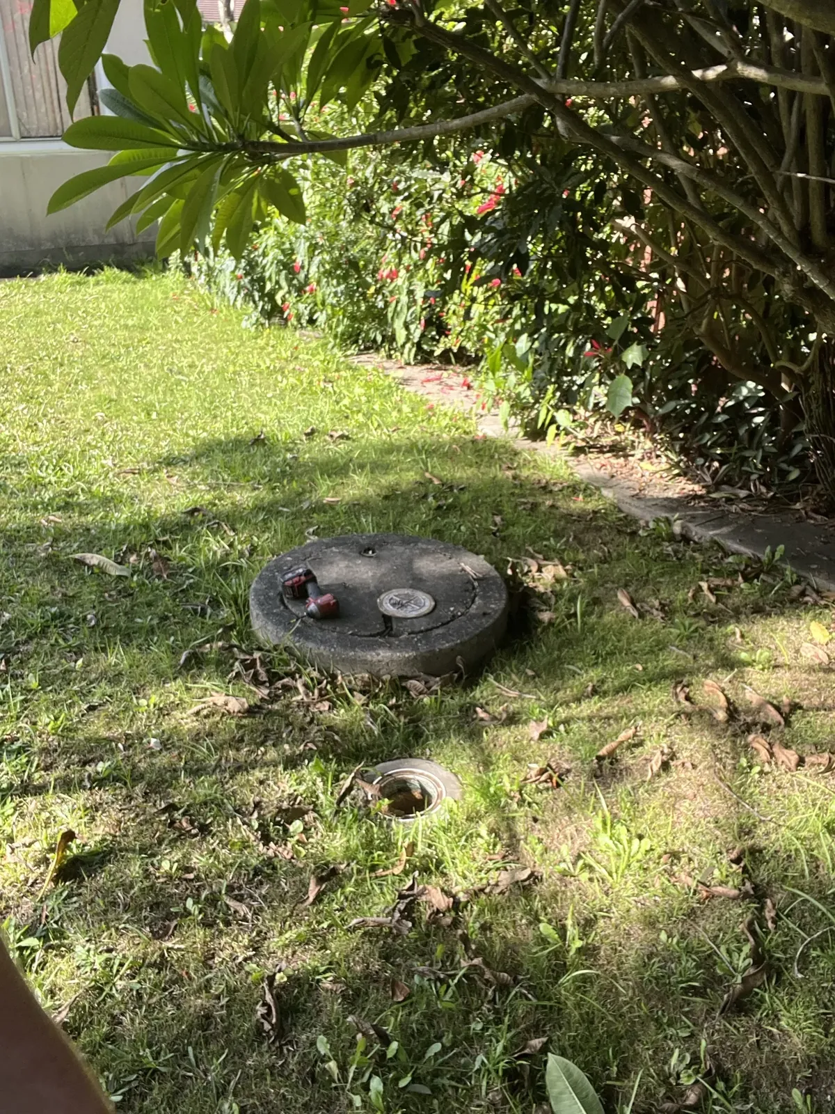 Septic Tank Repairs Sydney - a sewer inspection point and open riser in a back lawn in Padstow