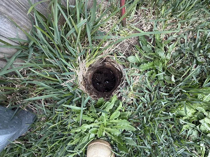 Open drain inspection point in the lawn beside a timber fence in Bexley