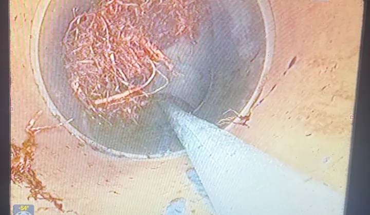 Drain camera screen showing tree roots filling the sewer pipe, with the jetter hose running into them, in Illawong