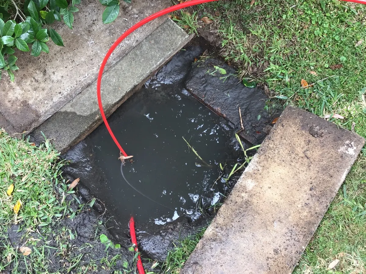 Red jetter hose fed into a sewer pit full of dark water, its concrete lid lifted beside it, in Ermington