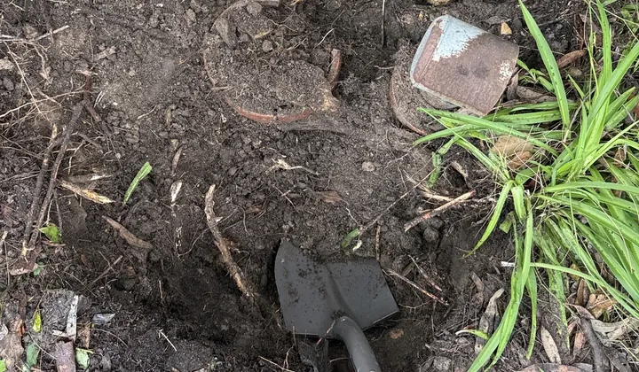Old clay boundary trap and its rusted riser dug out in a garden bed, with a spade in the hole, in Lane Cove North