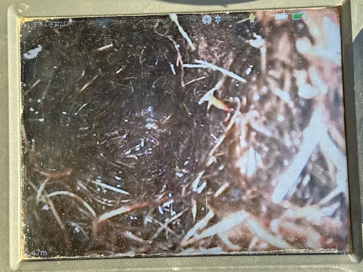 Drain camera screen showing tree roots packed inside the sewer pipe at a business in Quakers Hill