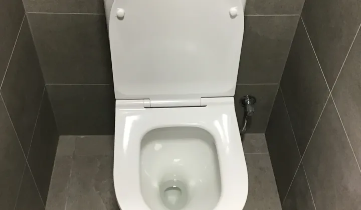 Close-coupled toilet in a small room tiled in grey