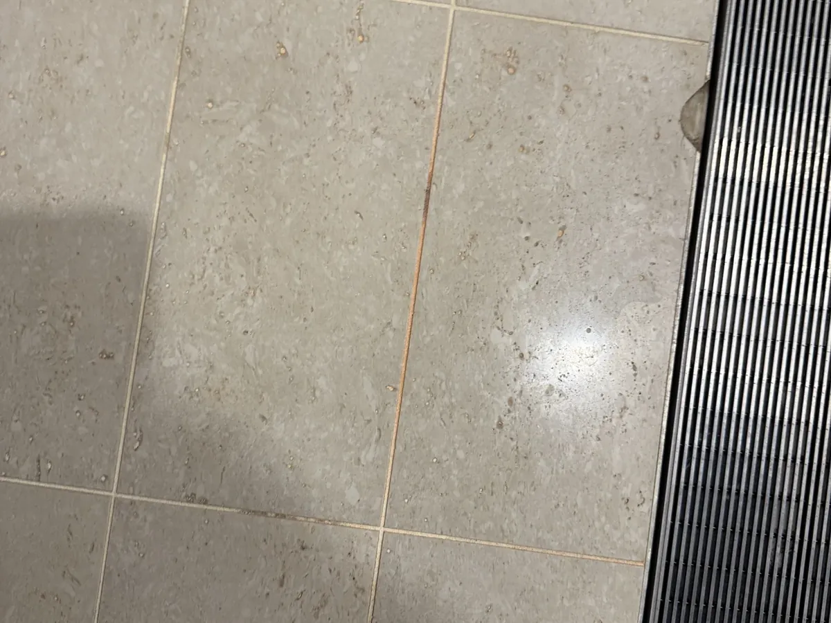 Shower floor tiles with worn grout next to a strip drain