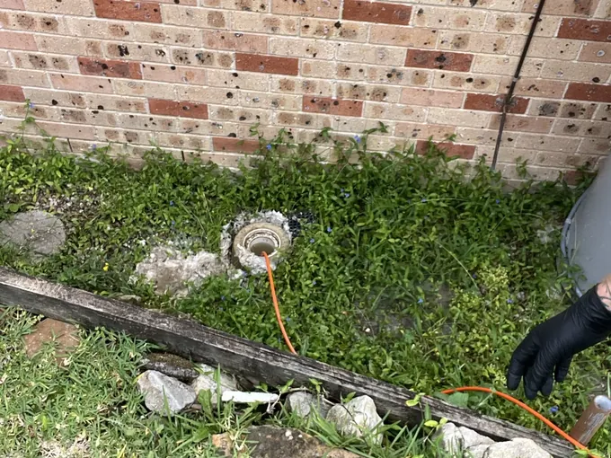 Drain camera cable fed into a sewer inspection opening in a garden bed