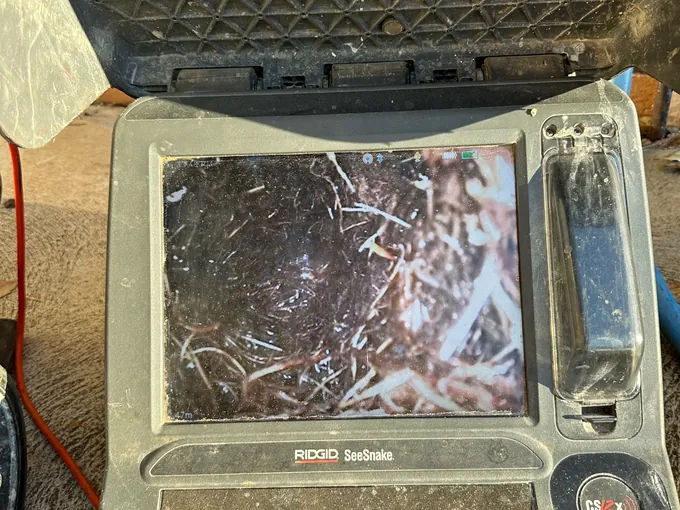 Drain camera screen showing tree roots packed inside a sewer pipe at a business in Quakers Hill
