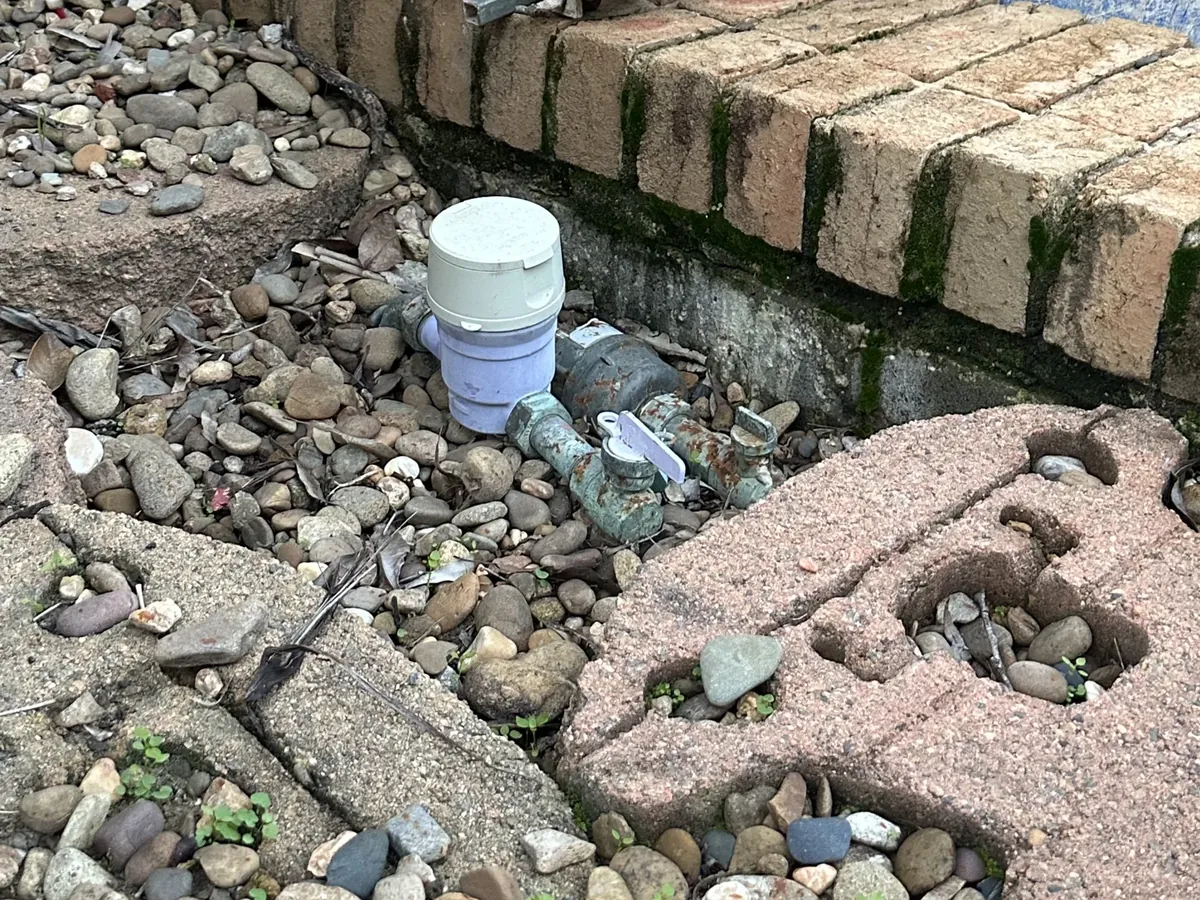 Water meter and its isolating valve in the garden of a Rouse Hill home