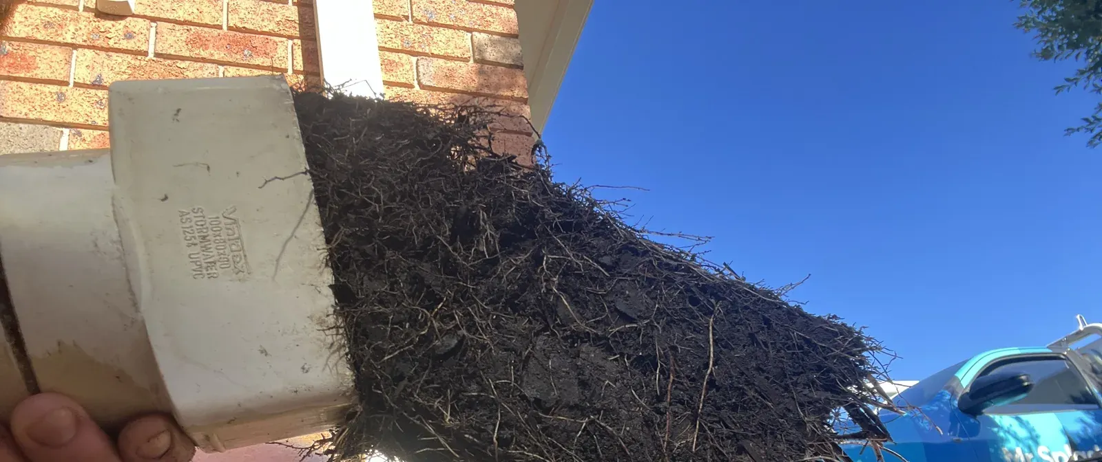 Tree roots packed inside a PVC stormwater fitting taken out of a blocked downpipe line in Ingleburn
