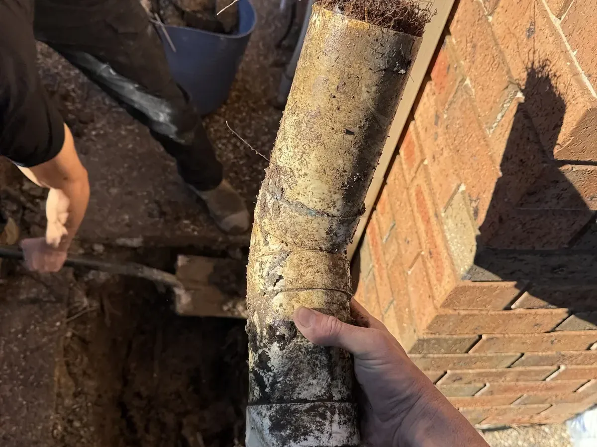 Root-choked downpipe section pulled out of the ground beside a brick wall in Ingleburn