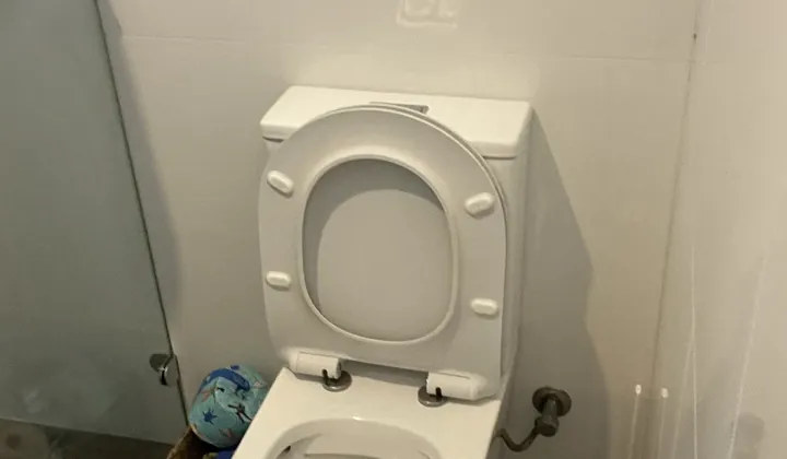 Back-to-wall toilet fitted against a tiled wall