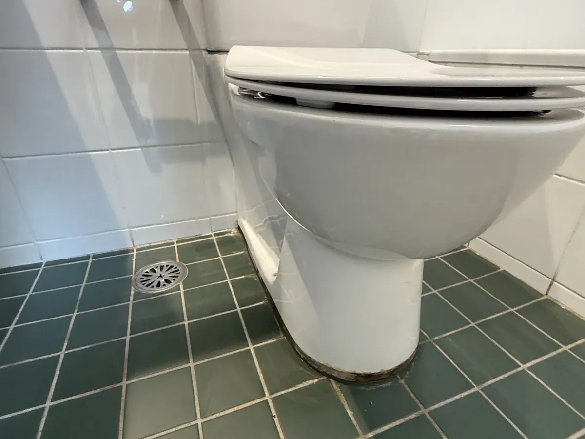 Staining around the base of a toilet pan on a green tiled floor in Glebe