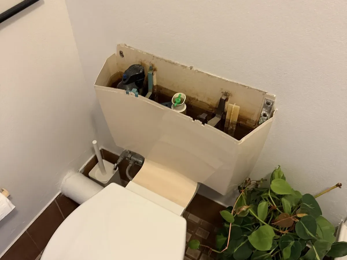 Broken old toilet cistern with its front cracked open above the pan in Ultimo
