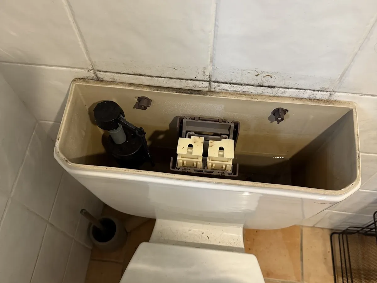 Old toilet cistern with the lid off showing the inlet and flush valves in Erskineville